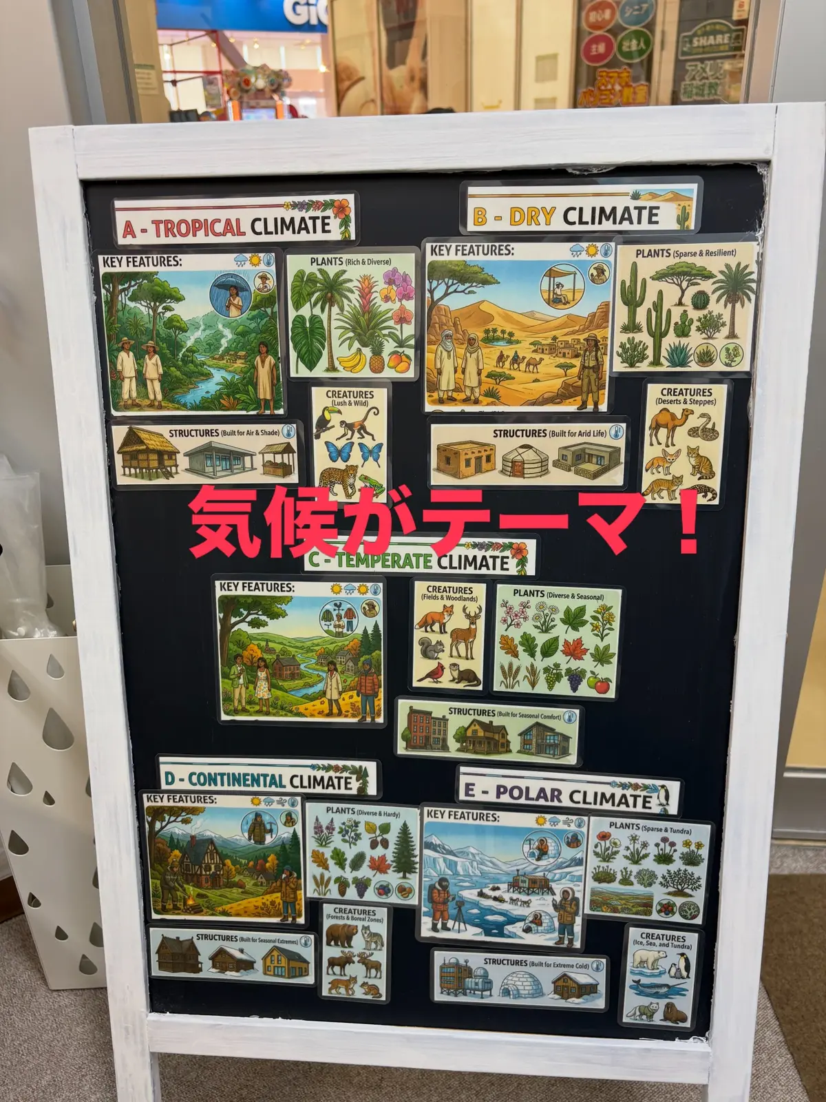 熱帯、乾燥帯、温帯、寒帯など気候を英語で学ぶテーマ教材